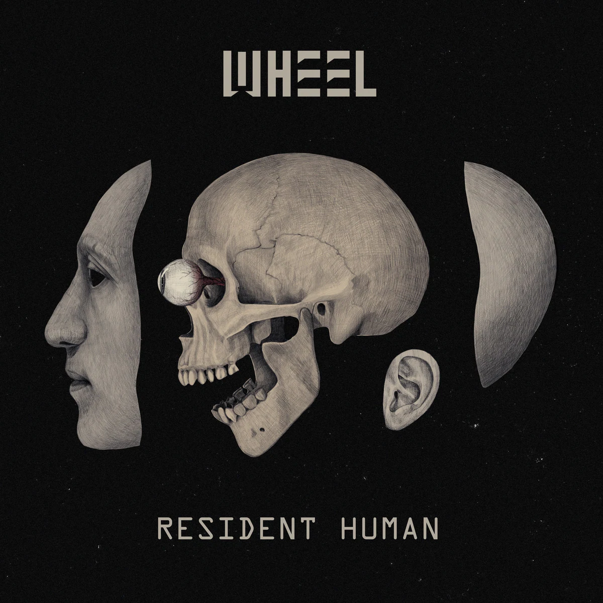 Cover of Resident Human by Wheel