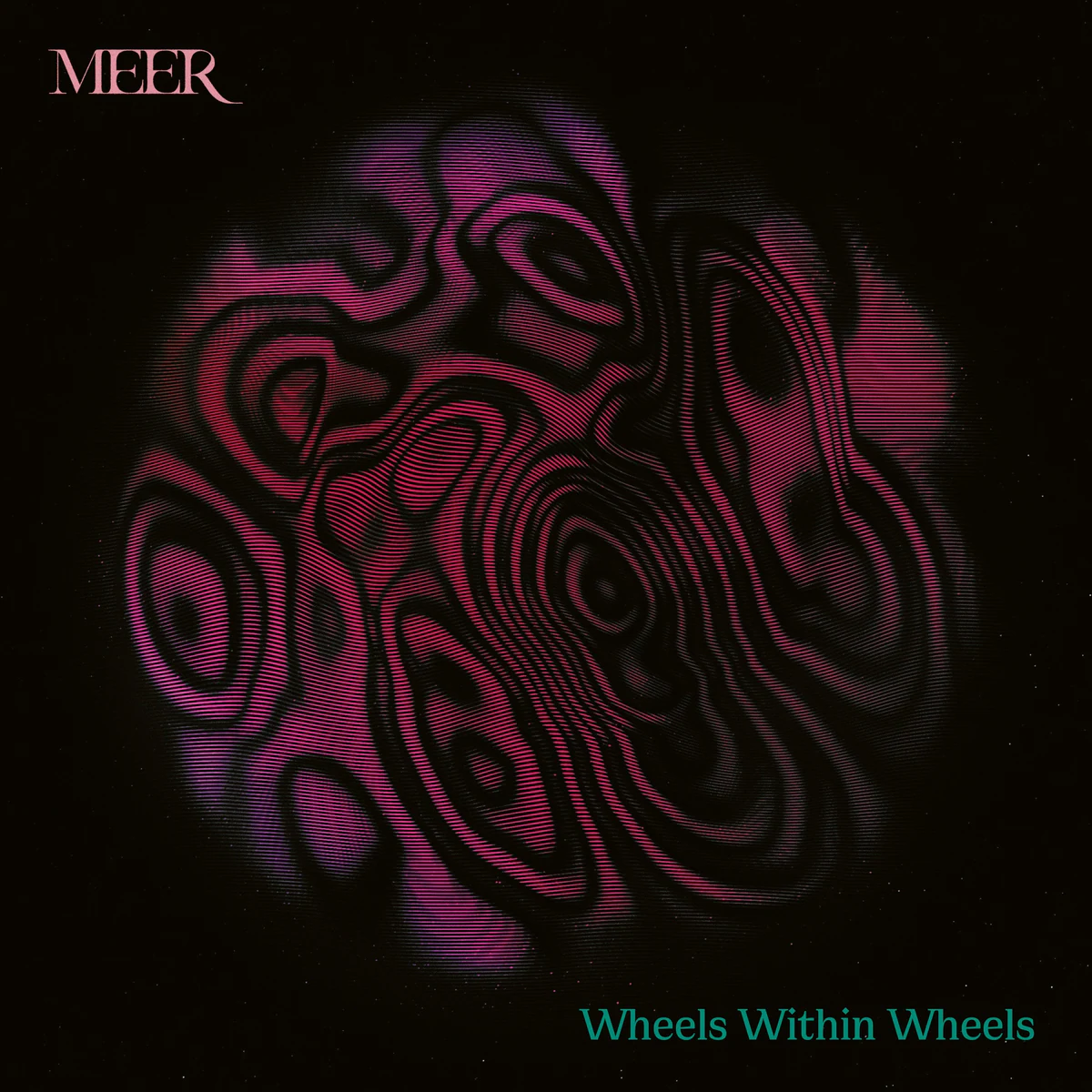 Cover of Wheels Within Wheels by MEER