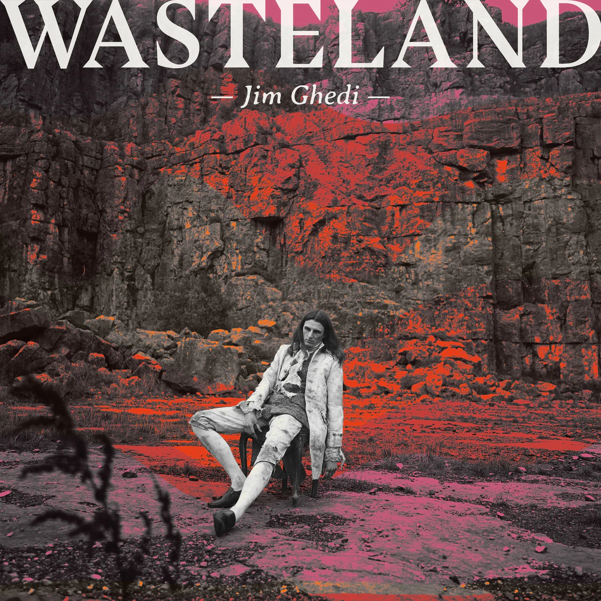 Cover of Wasteland by Jim Ghedi
